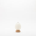 Shiraki Cocolan Mame Chochin Egg paper lantern with ribbed washi shade and beech wood base