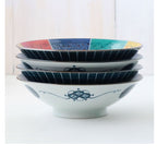 Shonzui Sometuke Namifuji Salad Noodle Bowl 25.5D