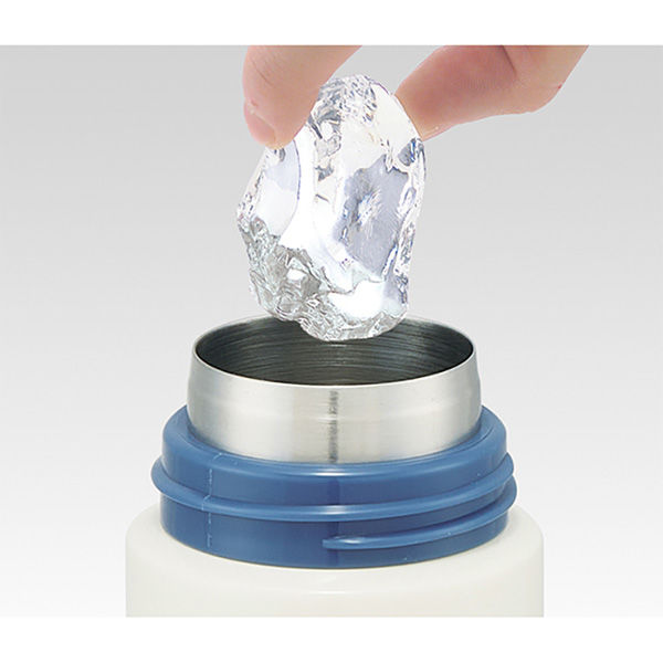 Skater Kiki's Delivery Service Modern Flower Lightweight One-Push Stainless Bottle 500ml