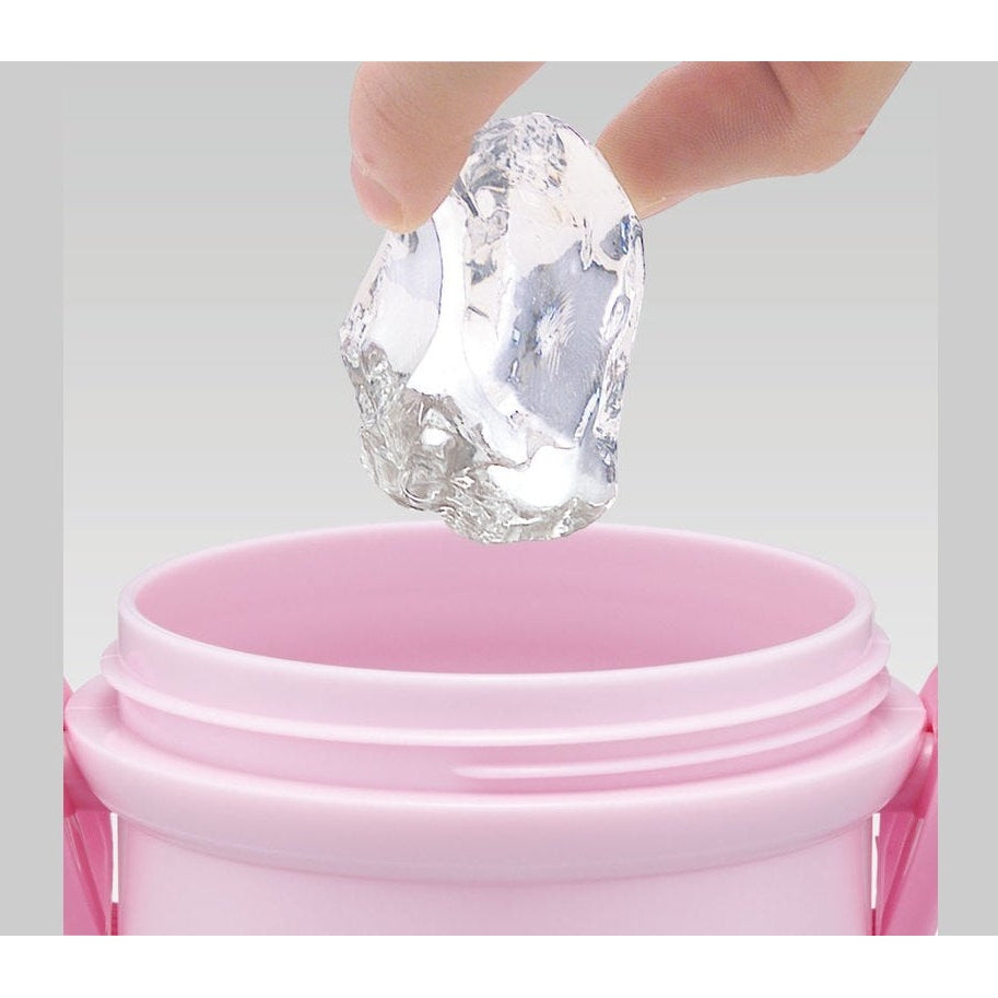 Skater Little Twin Stars One Touch Drink Bottle 480ml