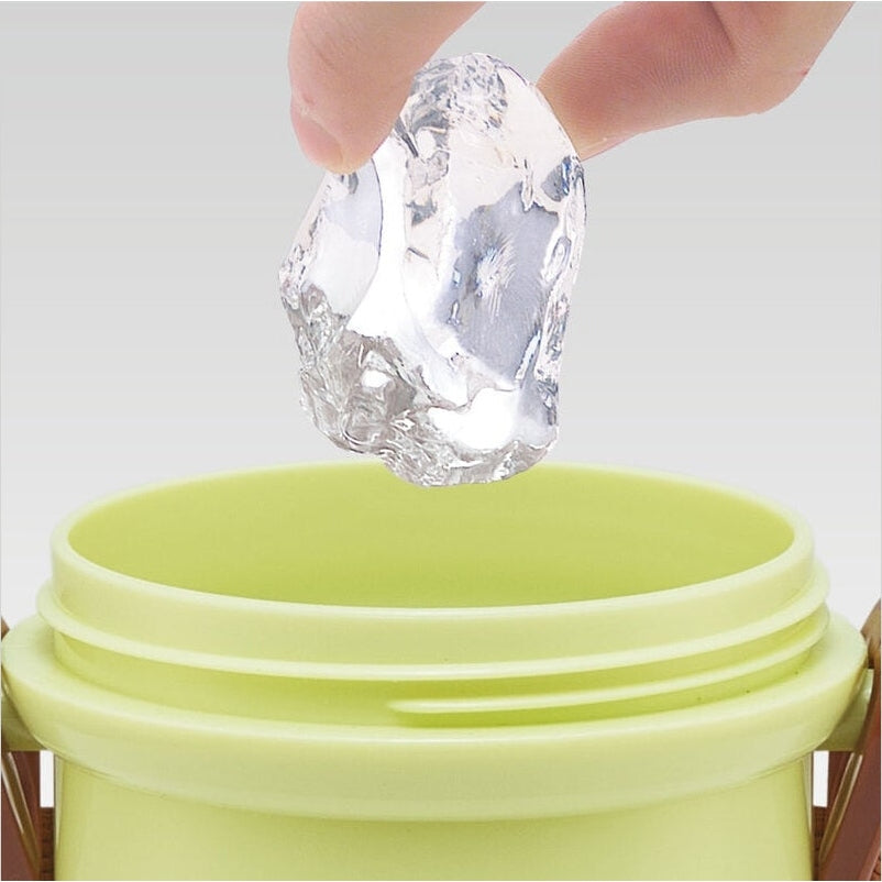 Skater My Neighbour Totoro Cat Bus One Touch Drink Bottle 480ml