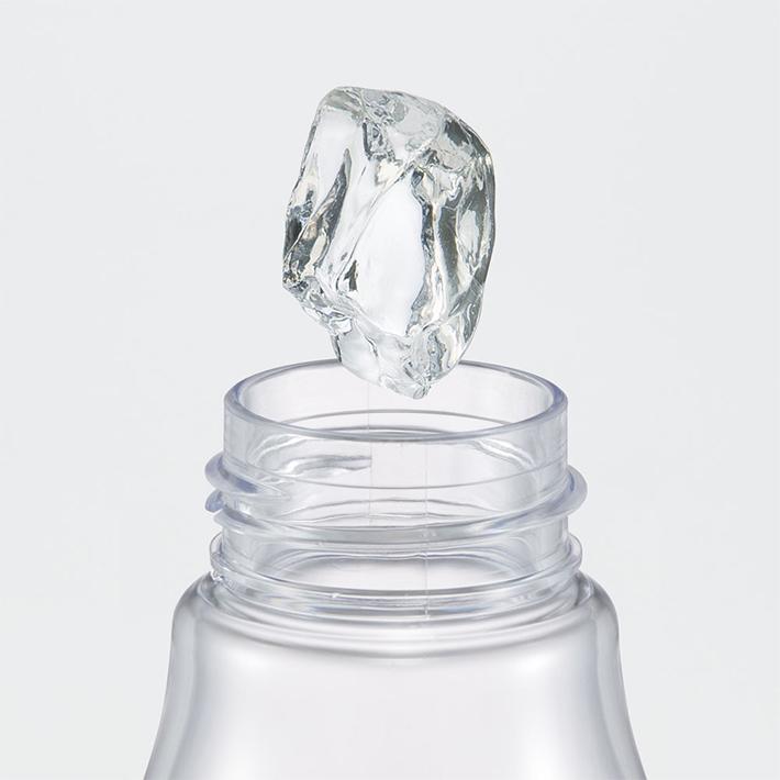 Skater My Neighbour Totoro March Water Bottle 500ml