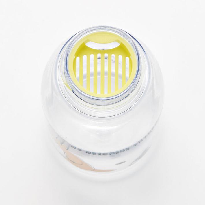 Skater My Neighbour Totoro March Water Bottle 500ml