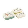 Three-piece Totoro themed lunch box set featuring brown and gray characters on mint green and yellow bases