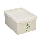 Skater Pickle Food Container 2.4L