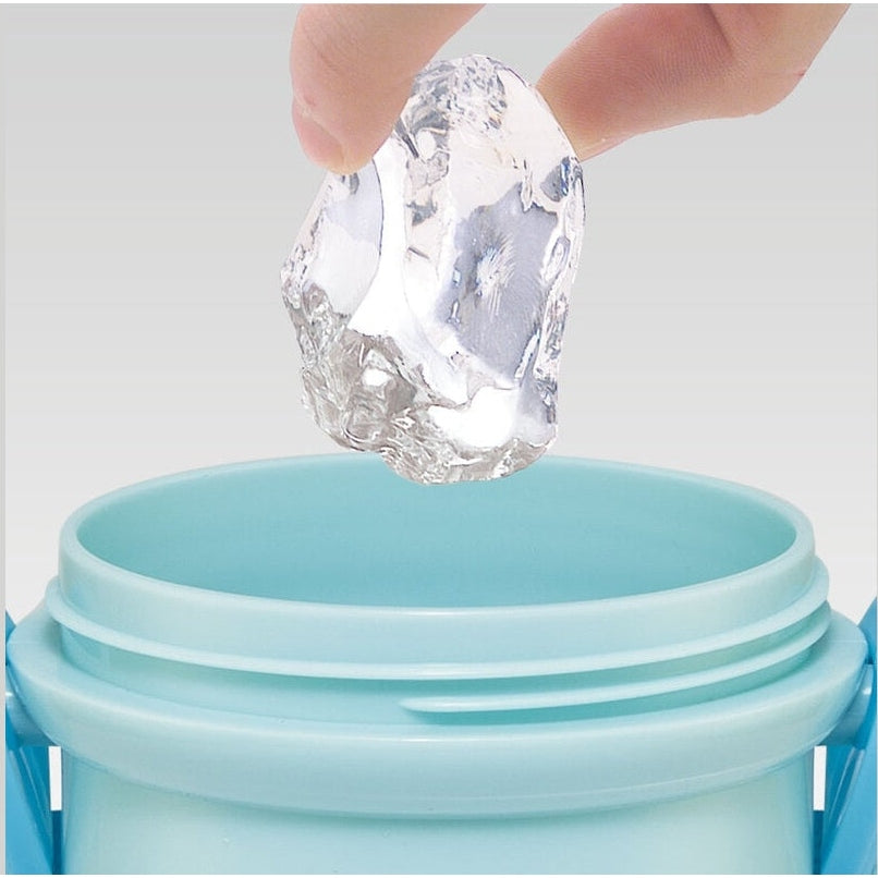 Skater Pokemon Joyful Day Series One Touch Drink Bottle 480ml