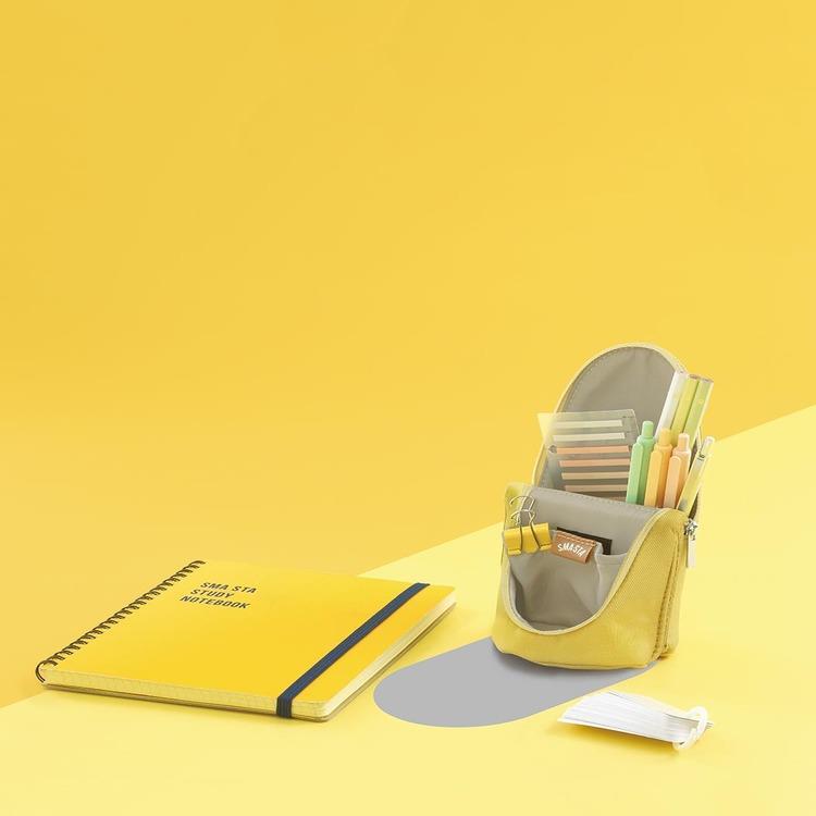 Sonic Smasta Stand Pen Case - Ash