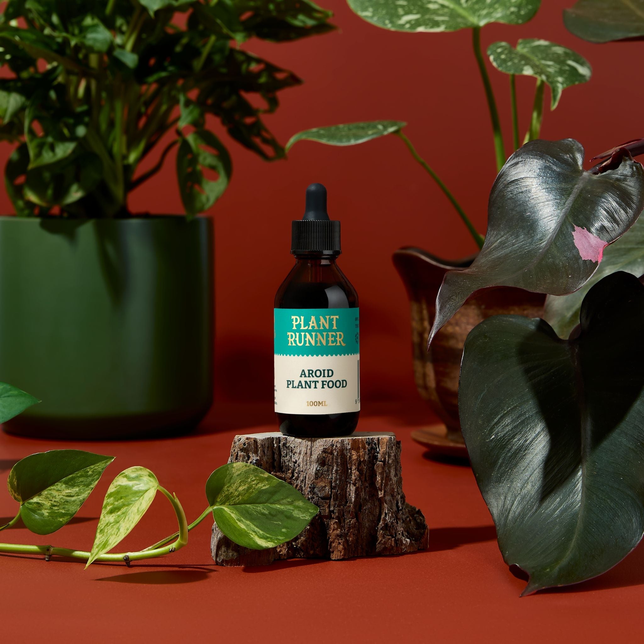 The Plant Runner Aroid Plant Food