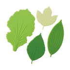Torune Lettuce Leaf Silicone Bento Sheet Divider