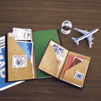 Traveler's Company Passport Notebook Refill 010 Kraft Paper Folder 2 Pockets
