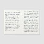 Traveler's Company Passport Notebook Refill 005 Lightweight Paper