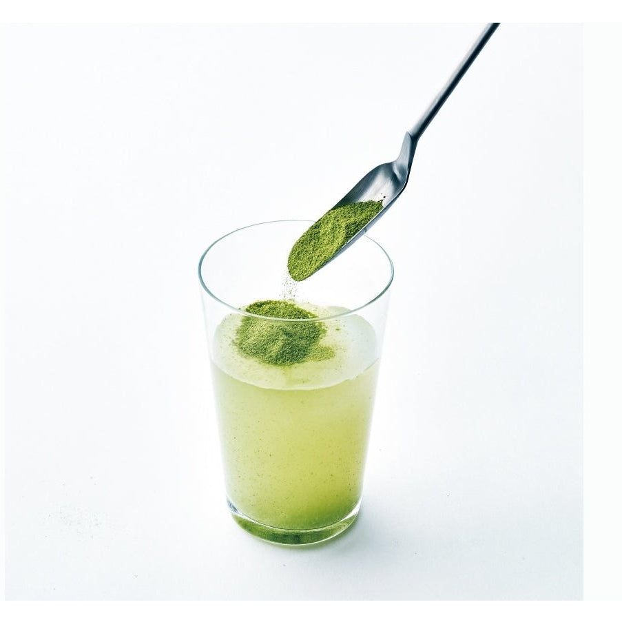 Yoshikawa EAtoCO Saji Slim Spoon