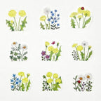 bande Decorative Masking Roll Sticker - Dandelion Field -kalo- sticker designs