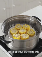 Shimoyama Stainless Steel Plate Gripper