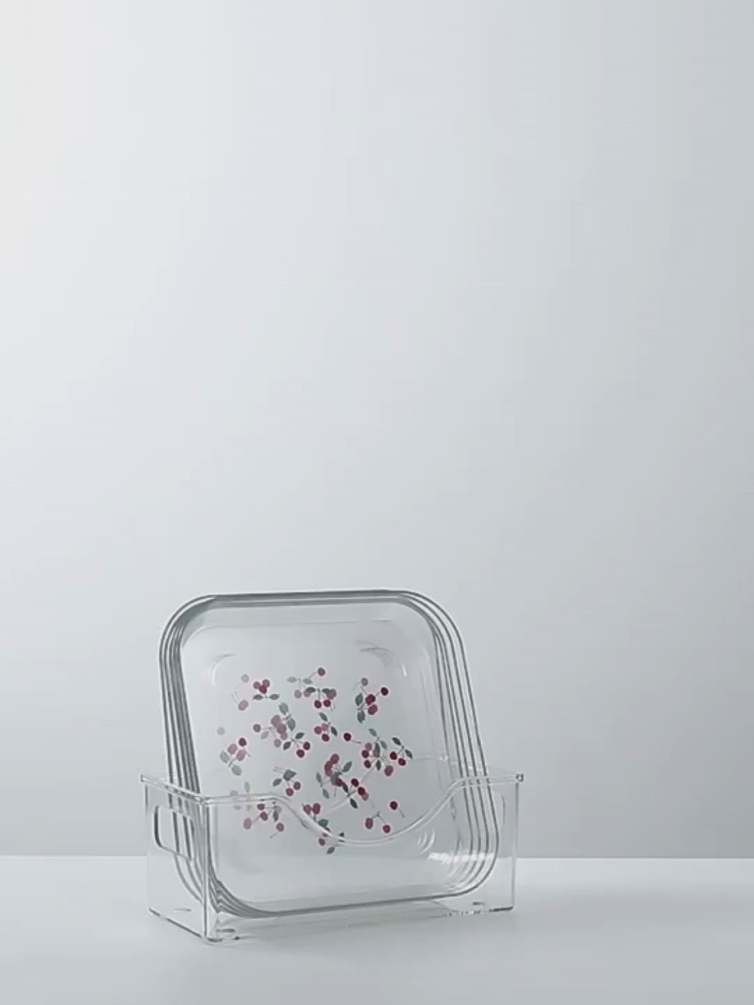 Shimoyama PET Plate Storage Box