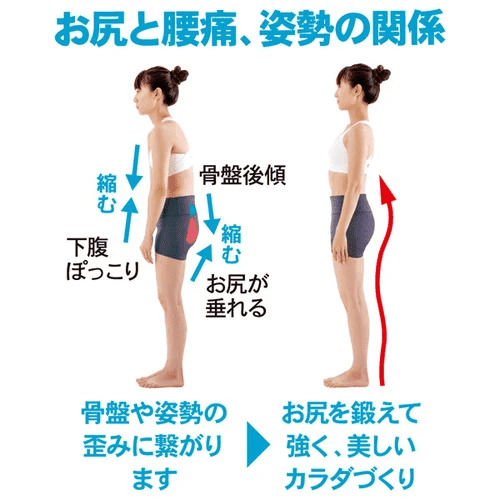 Alphax Beauty Hip & Leg Stretch Resistance Band