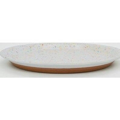 CHIPS plate SPLASH 24D