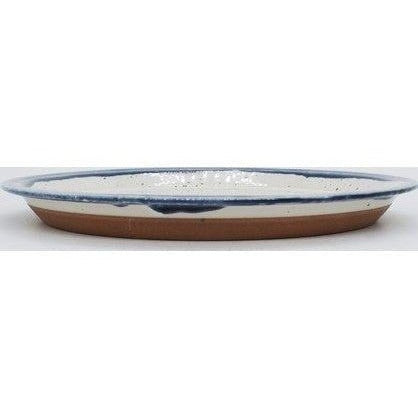CHIPS plate SPLASH 24D