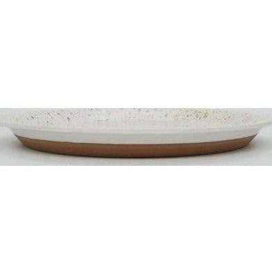 CHIPS plate SPLASH 24D