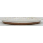 CHIPS plate SPLASH 24D