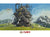 Ensky Howl's Moving Castle The Laundry is Done Jigsaw Puzzle 1000 Pieces 50 x 75cm