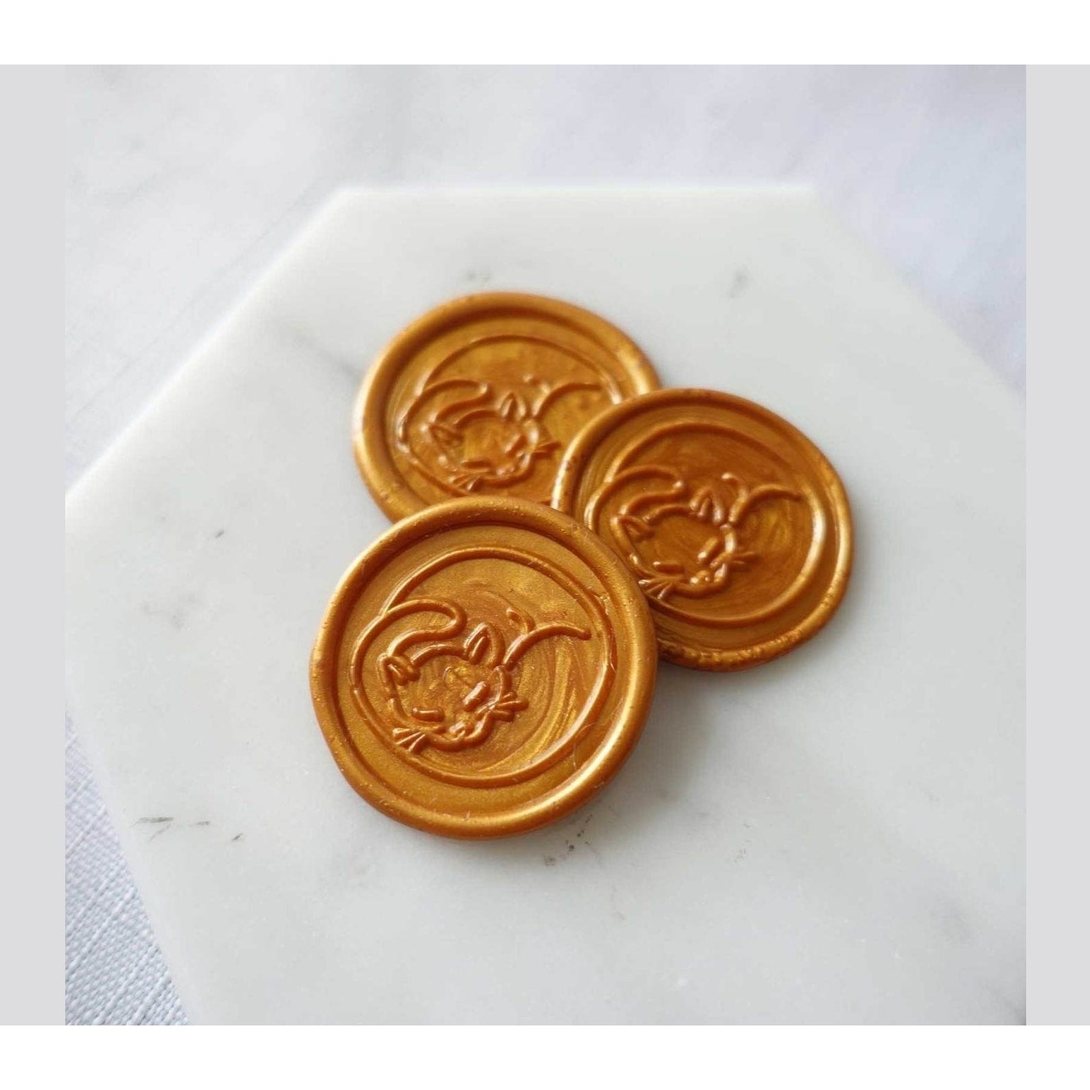 Fiona Ariva Wax Sealing Kit