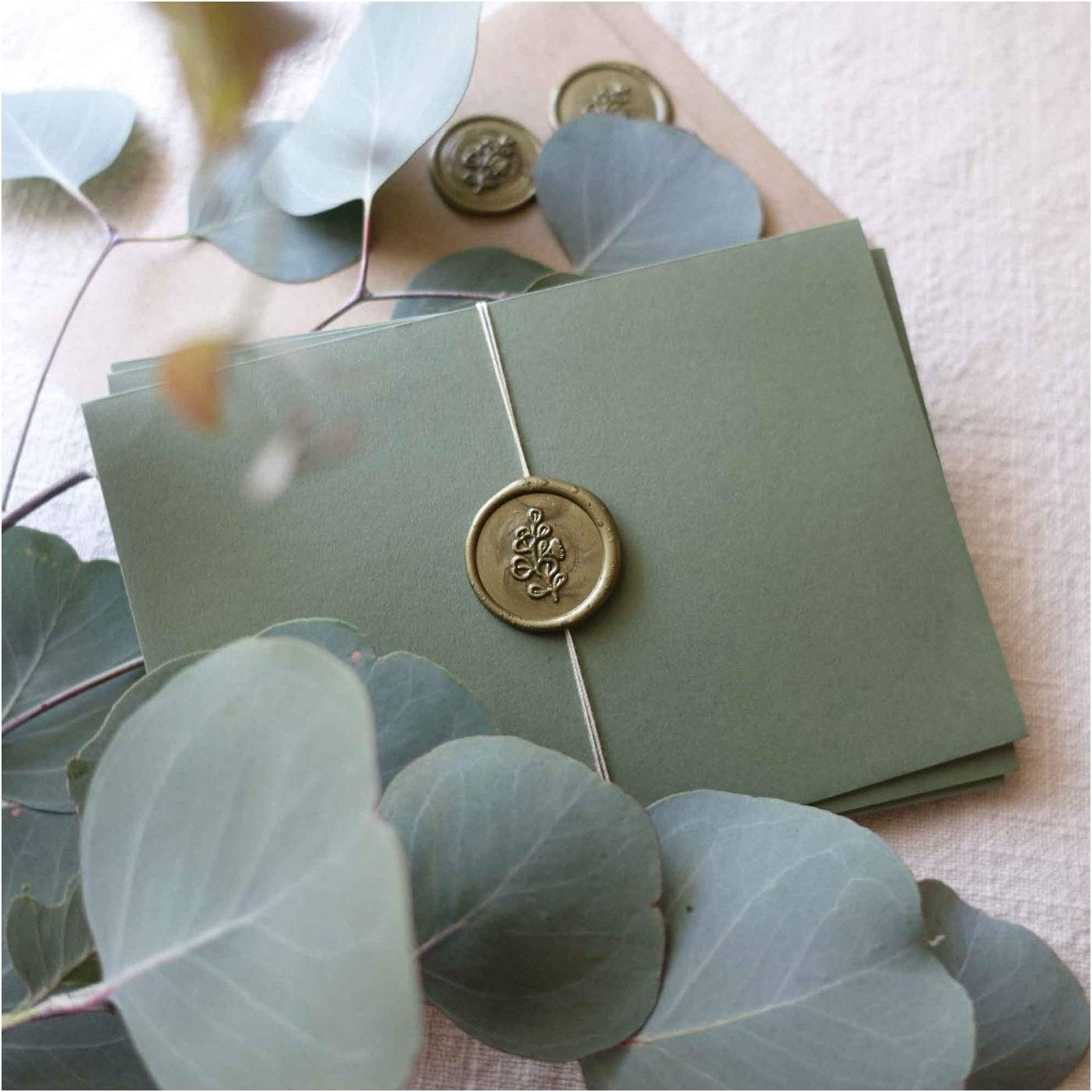 Fiona Ariva Wax Sealing Kit