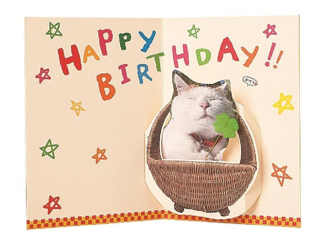 Gakken Pop Cat Birthday Card