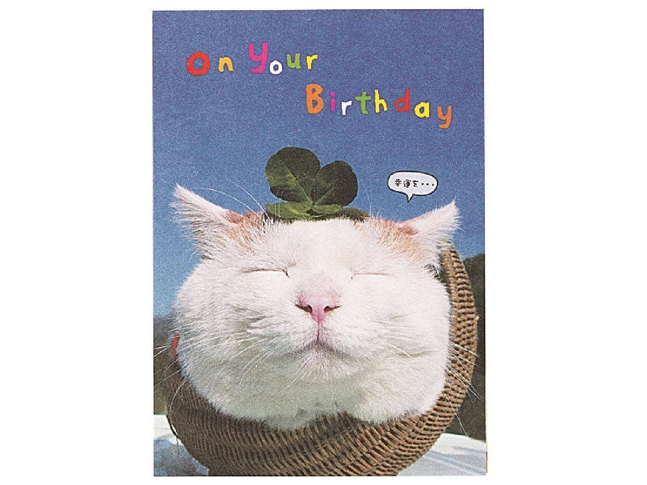 Gakken Pop Cat Birthday Card