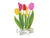 Greeting Life Birthday Blooming Flower Tulip Pop-Up Card
