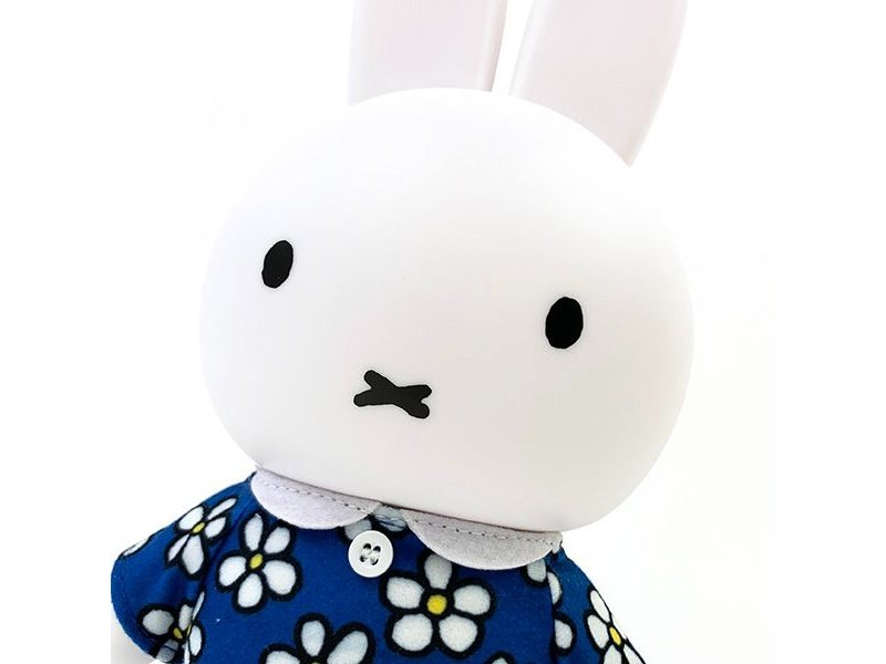 Hashy Miffy Piggy bank Floral Pattern