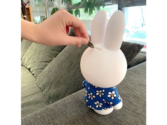 Hashy Miffy Piggy bank Floral Pattern
