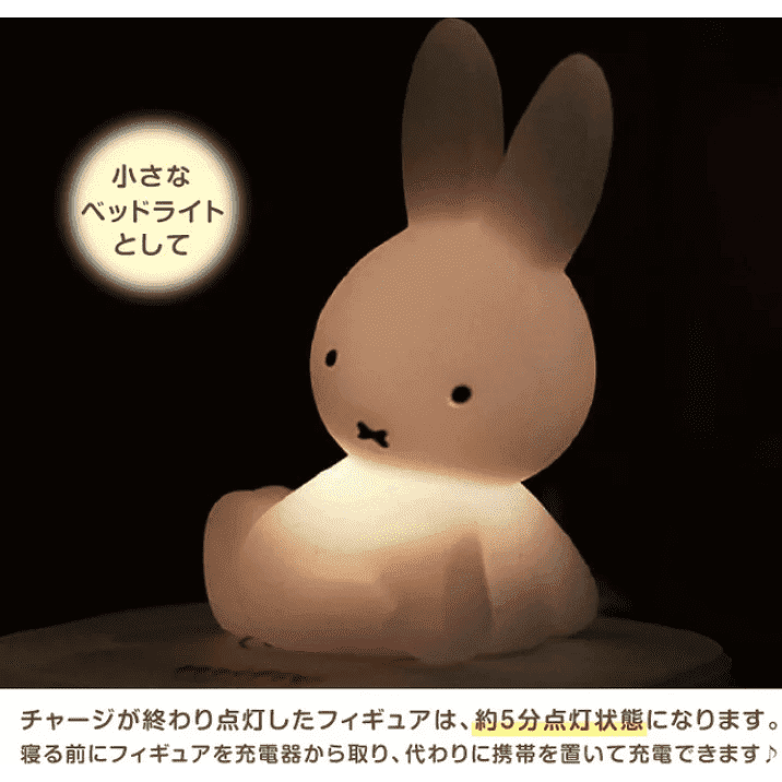 Hashy Miffy Qi Wireless Charge &