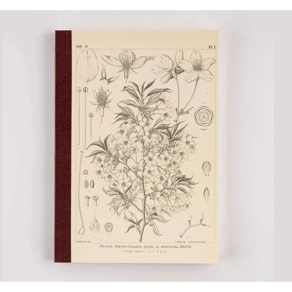 Hobonichi Plain Notebook A5 - Yamazakura