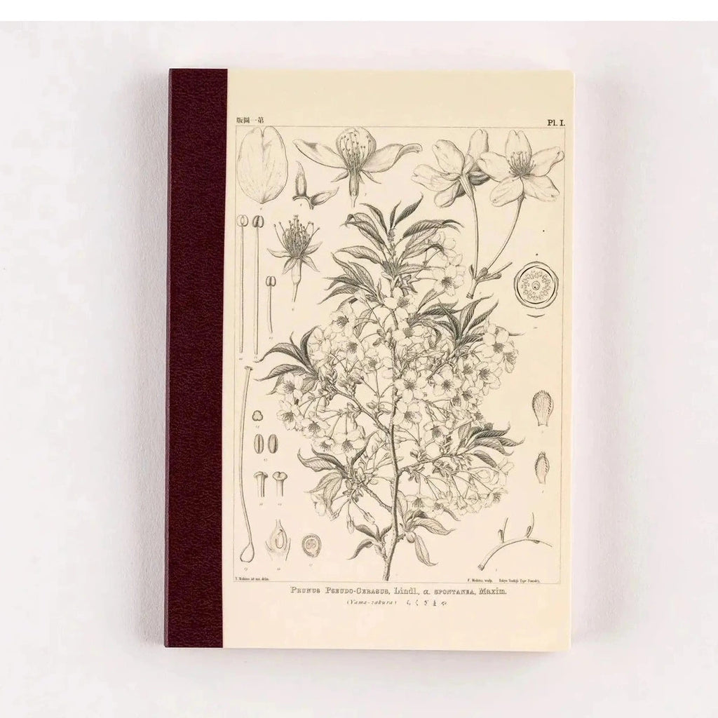 Hobonichi Plain Notebook A6 - Yamazakura