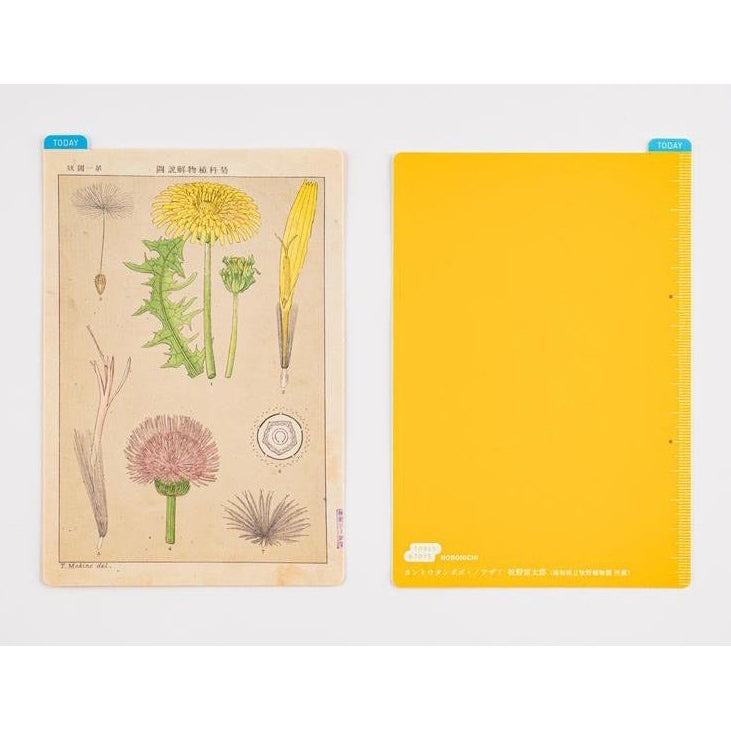 Hobonichi Tomitaro Makino: Hobonichi Pencil Board for A6 Size Tomitaro Makino