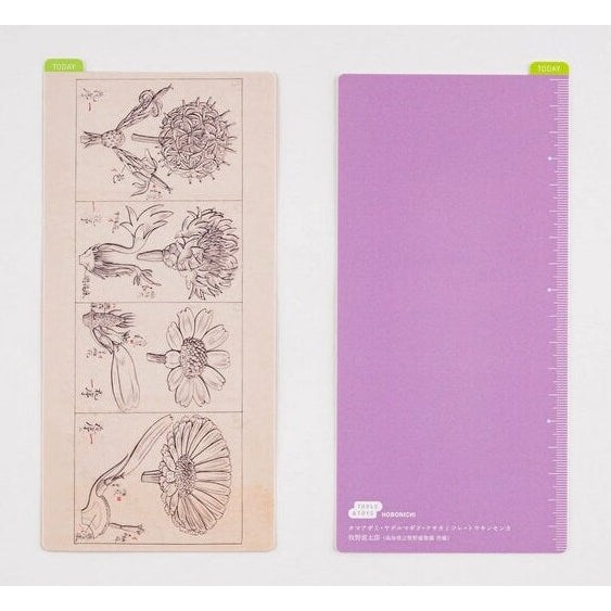 Hobonichi Tomitaro Makino: Hobonichi Pencil Board for Weeks Tomitaro Makino