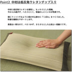 Ikehiko D Style Igusa x Denim Flat Pillow 50x30cm