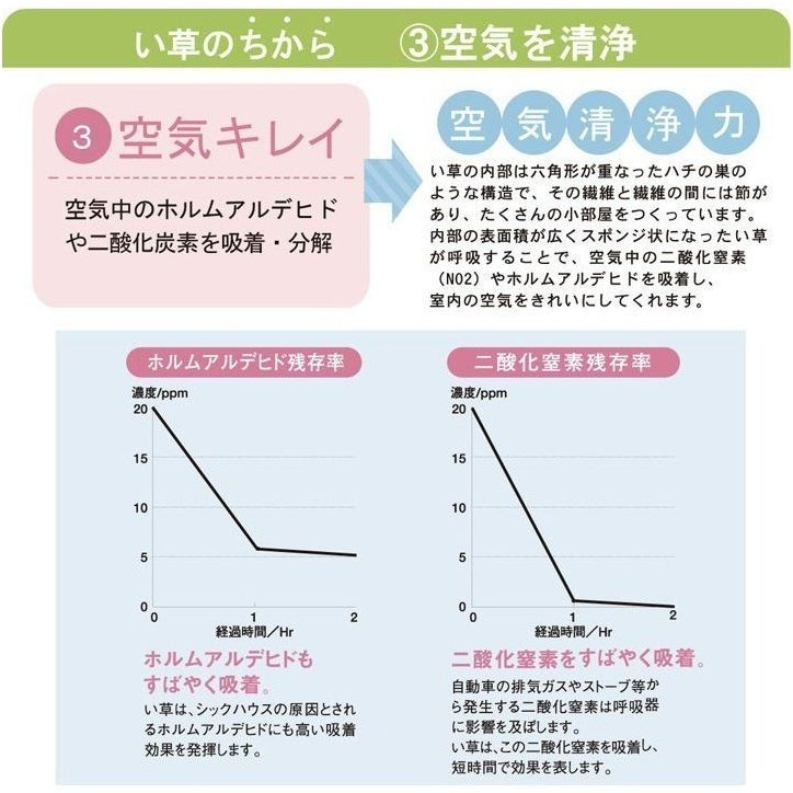 Ikehiko D Style Igusa x Denim Flat Pillow 50x30cm