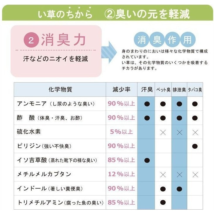 Ikehiko D Style Igusa x Denim Flat Pillow 50x30cm