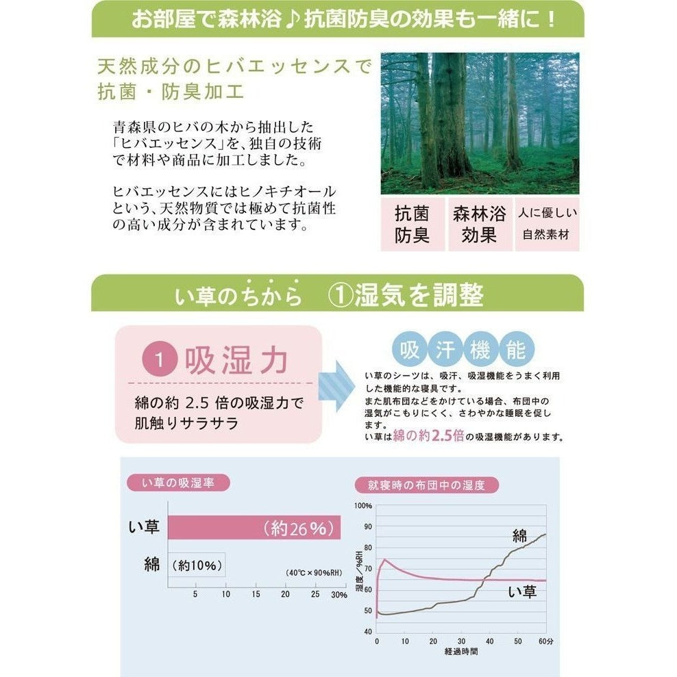 Ikehiko D Style Igusa x Denim Flat Pillow 50x30cm