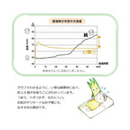 Ikehiko DenimStar Baby Mattress 70x120cm