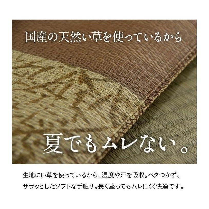 Ikehiko Goemon Zabuton Cushion 55x55cm