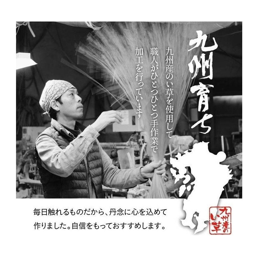 Ikehiko Goemon Zabuton Cushion 55x55cm