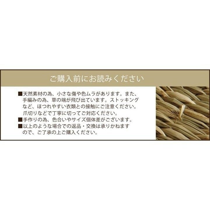 Ikehiko Igusa Coast Square Seat Cushion 40x40cm