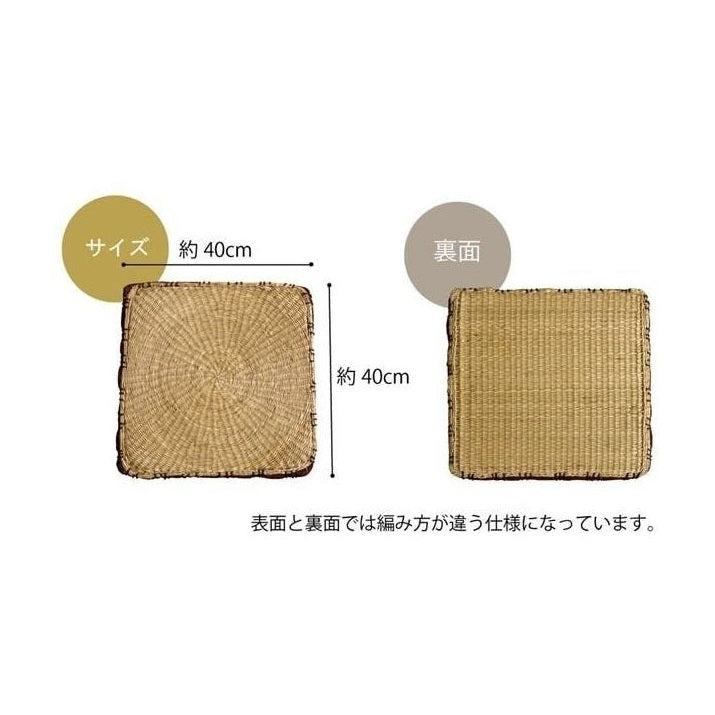 Ikehiko Igusa Coast Square Seat Cushion 40x40cm