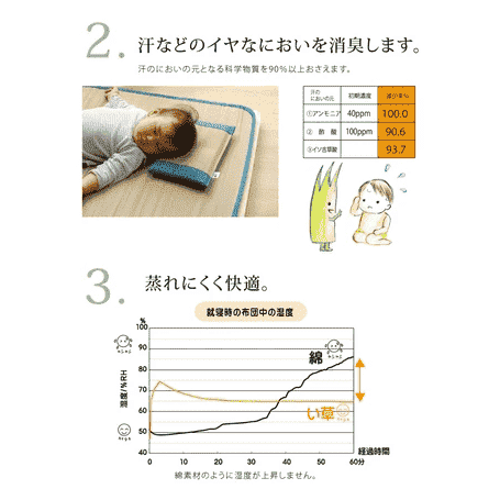 Ikehiko Baby Tatami Pillow 30x20cm