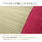 Ikehiko Baby Tatami Pillow 30x20cm