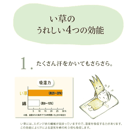 Ikehiko Baby Tatami Pillow 30x20cm