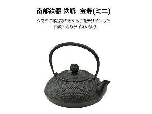 Ikenaga Nambu Hobnail Tetsubin Iron Tea Pot ml
